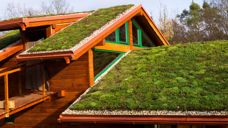 green-roof-770.png